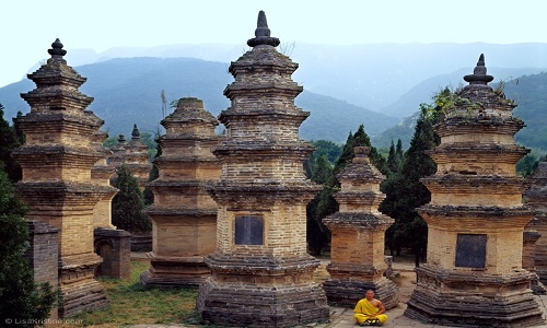 Pagoda-Forest