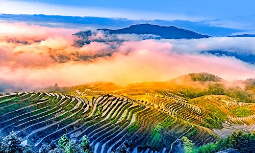 Longji-Terraced-Fields-Guilin