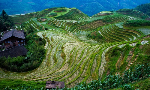 Longsheng-Town-Guilin