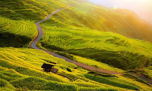 Jiabang-Rice-Terraces-Guizhou Jiabang-Rice-Terraces-Guizhou