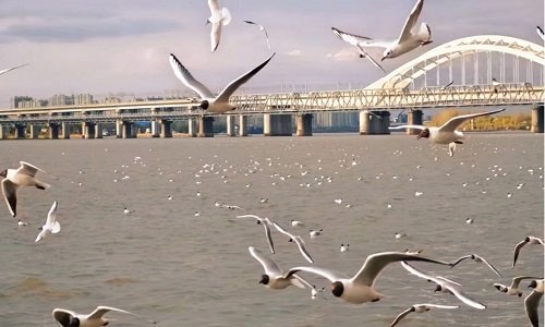 Stalin-Park-Harbin Stalin-Park-Harbin