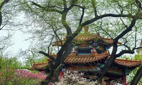 Zhaolin-Park-Harbin Zhaolin-Park-Harbin