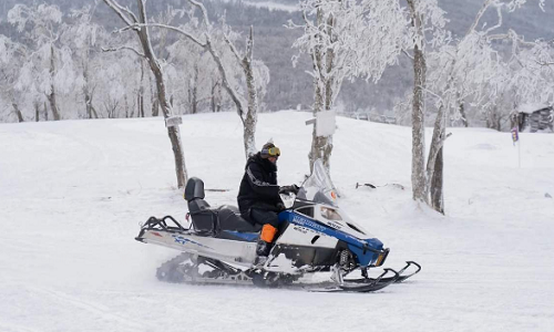 Snowmobiles Snowmobiles