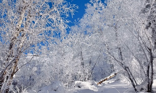 Yangcao-Mountain Yangcao-Mountain