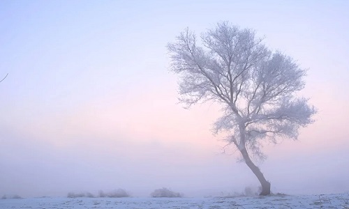 Rime-Island Rime-Island