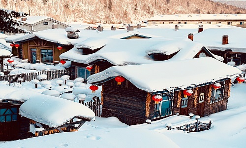 Snow-Mushroom-Harbin Snow-Mushroom-Harbin