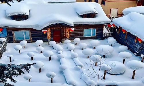 Snow-Mushroom Snow-Mushroom