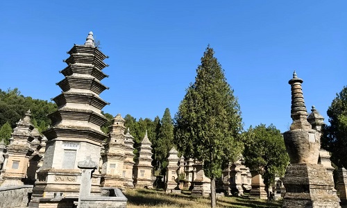 Pagoda-Forest-Shaolin Pagoda-Forest-Shaolin