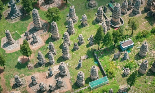 Pagoda-Forest Pagoda-Forest