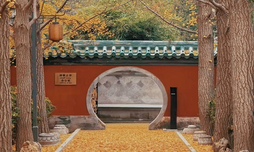 Chaoyang-Beijing Chaoyang-Beijing