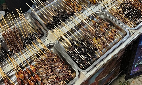 Insects-Beijing Insects-Beijing