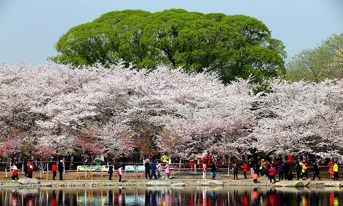Yuyuantan-Park Yuyuantan-Park