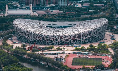 Birds-Nest Birds-Nest