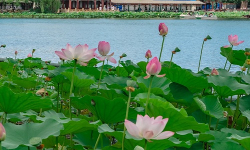 Shichahai-Beijng Shichahai-Beijng