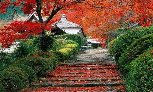 Fragrant-Hills-Hiking Fragrant-Hills-Hiking