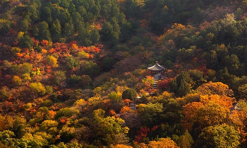 Fragrant-Hills Fragrant-Hills