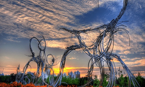 Olympic-Forest-Park Olympic-Forest-Park