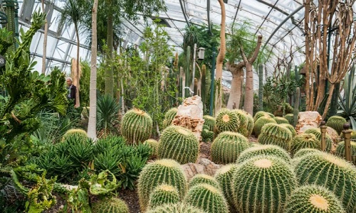 Beijing-Botanical-Garden Beijing-Botanical-Garden