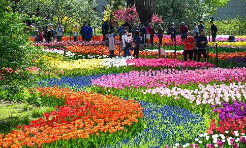 Botanical-Garden Botanical-Garden