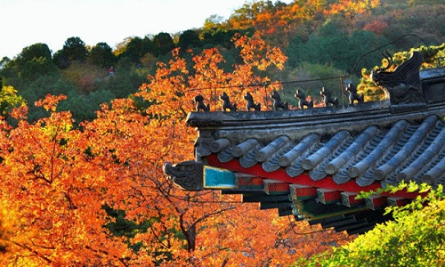 Fragrant-Hills-Park-Beijing Fragrant-Hills-Park-Beijing