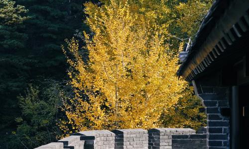 Mutianyu-Great-Wall Mutianyu-Great-Wall