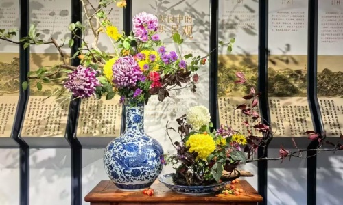 gui-hua-beijing gui-hua-beijing