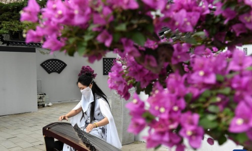 lotus-beijing lotus-beijing