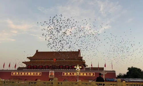 sheng-qi-beijing sheng-qi-beijing