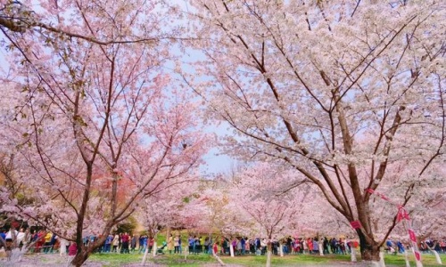 yu-yuan-tan-beijing yu-yuan-tan-beijing