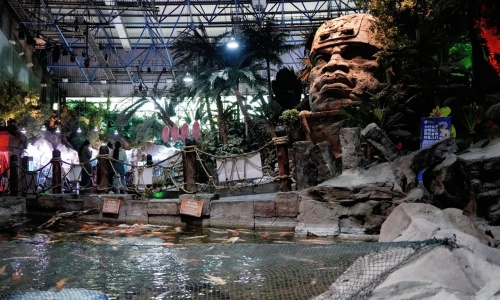 beijing-rainforest-adventure beijing-rainforest-adventure