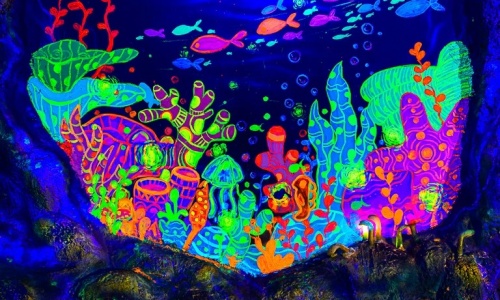 coral-garden-beijing coral-garden-beijing