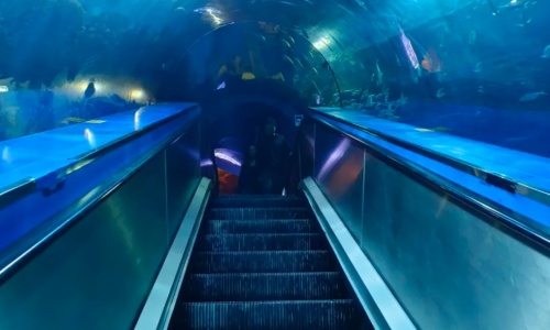 underwater-tunnel-beijing underwater-tunnel-beijing
