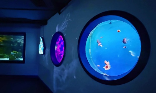 Ocean-Heart-Giant-Circular-Tank Ocean-Heart-Giant-Circular-Tank
