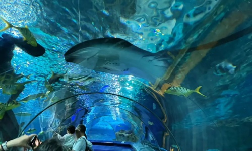 Underwater-Tunnel-beijing Underwater-Tunnel-beijing