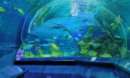 Underwater-Tunnel Underwater-Tunnel
