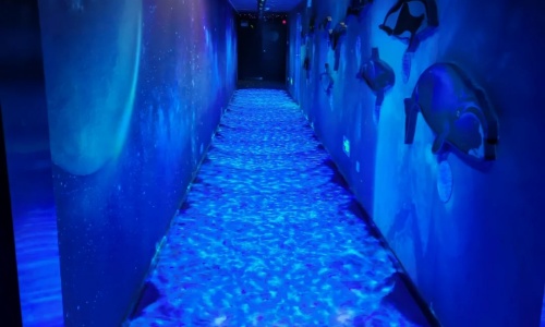 Whale-Listening-Tunnel Whale-Listening-Tunnel